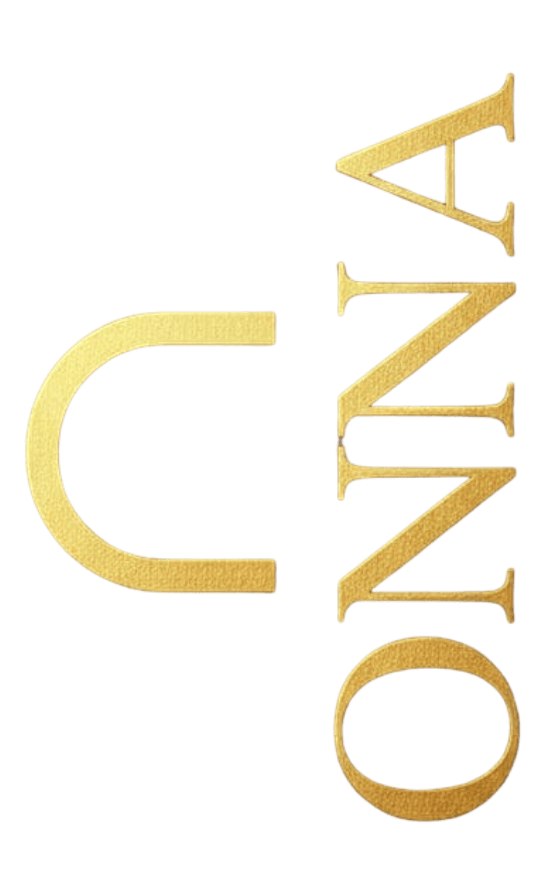 logo vertical sliding